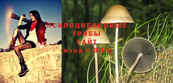 соль курить ск Арсеньев