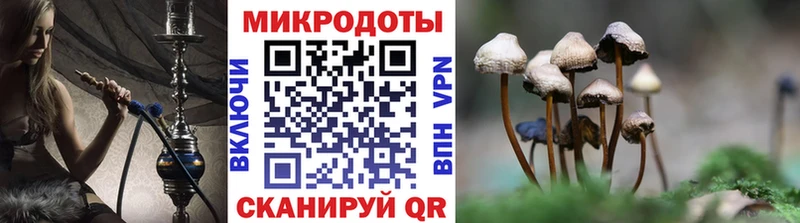 Псилоцибиновые грибы Magic Shrooms  Рузаевка 